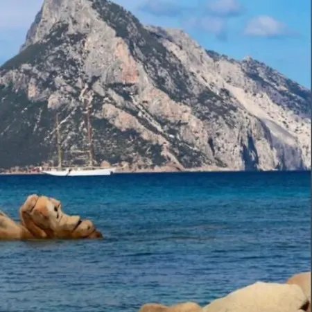 Bilocale Mare Olbia